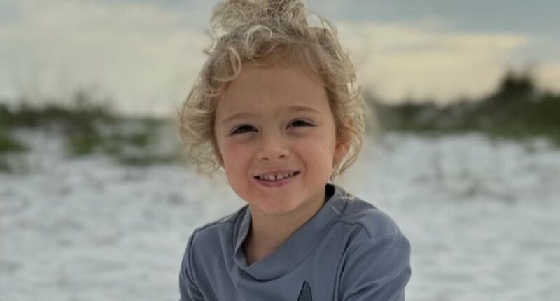 Tragic end in search for 4-year-old boy who went missing with dog