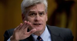 Trump Pre-Endorses Julia Letlow for LA Senate, Putting Bill Cassidy on Notice