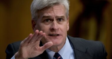 Trump Pre-Endorses Julia Letlow for LA Senate, Putting Bill Cassidy on Notice