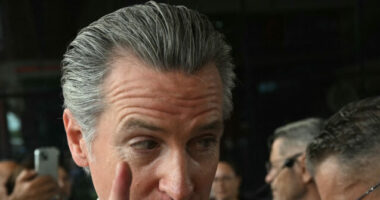 Trump: 'The Fraud Investigation of California Has Begun'