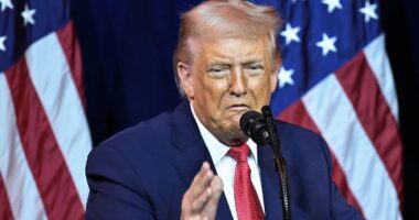 Trump addresses fatal ICE shooting in Minneapolis