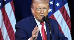 Trump blames 'disorderly agitator' for ICE shooting in Minneapolis