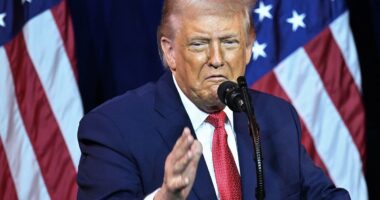 Trump blames 'disorderly agitator' for ICE shooting in Minneapolis