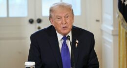 Trump 'briefed on options for striking Iran' as Tehran issues threats