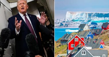 Trump brushes aside NATO concerns and says Greenland should make deal