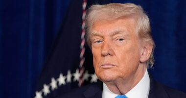 Trump claims Renee Good 'ran over' armed ICE agent after video review