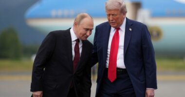 Trump confirms he invited Putin to join his Board of Peace: 'He's been invited'