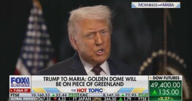 Trump declares US gets 'TOTAL ACCESS' to Greenland as he reveals latest plan