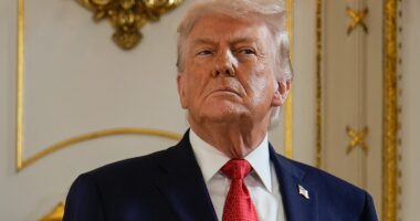 Trump declares economic war on NATO over support for Greenland