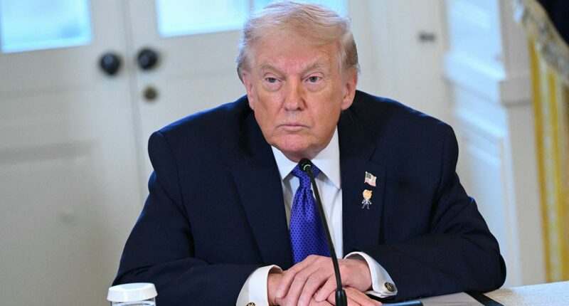 Trump discusses whether he'd order a mission to capture Putin