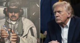 Trump has given the world's bullies a model for their ambitions