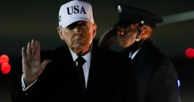 Trump holds off on military action against Iran's protest crackdown as he 'explores' Tehran messages