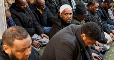 Trump orders 2,500 Somalis out of the country by March amid fallout from Minnesota fraud scheme
