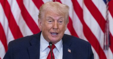 Trump puts $1BILLION price tag on membership for new 'UN replacement'