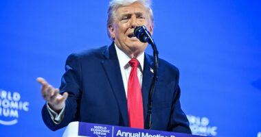 Trump rules out taking Greenland by force sparking stock market rally