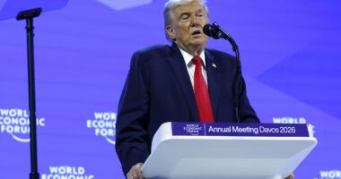 Trump rules out using force to take Greenland