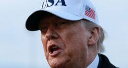 Trump says NATO must back US Greenland bid