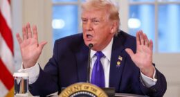 Trump sidelines 'crooked' Minnesota officials in ICE shooting probe