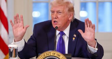 Trump sidelines 'crooked' Minnesota officials in ICE shooting probe