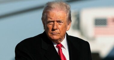 Trump signals halt to military plans as Iran reopens airspace