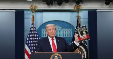 Trump slams 'agitator screaming like opera singer' after ICE shooting