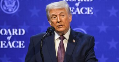 Trump slur that UK and allies 'stayed off front line' in Afghanistan