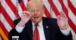 Trump speaks with FRENCH accent while doing Macron impersonation