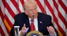 Trump threatens tariffs over Greenland if allies don't play ball