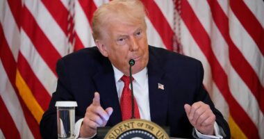 Trump threatens tariffs over Greenland if allies don't play ball