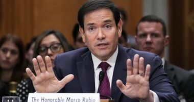 Trump's top diplomat says technical talks over Greenland have started