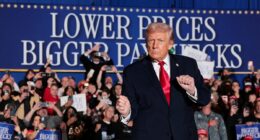 Trump's 2026 campaign blueprint centers on three states ... and a long-shot bet to make America 2024 again