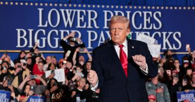 Trump's 2026 campaign blueprint centers on three states ... and a long-shot bet to make America 2024 again