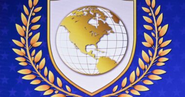 Trump's Board of Peace logo bears resemblance to United Nations emblem