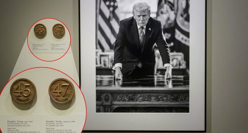 Trump's impeachments removed from Smithsonian portrait