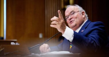 Trump's pick for Iceland ambassador apologizes for joking about Arctic nation becoming 52nd state