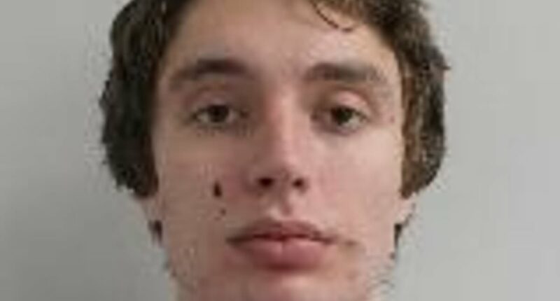 Truth behind Barron Trump's Facetime with 'gf' and man who beat her