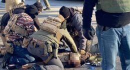 Two DHS agents SUSPENDED over shooting of nurse Alex Pretti