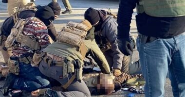 Two DHS agents SUSPENDED over shooting of nurse Alex Pretti