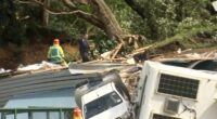 In this image from a video, a police officer with dog searches people near the site of a landslide at the base of Mount Maunganui on New Zealands North Island Thursday, Jan. 22, 2026.