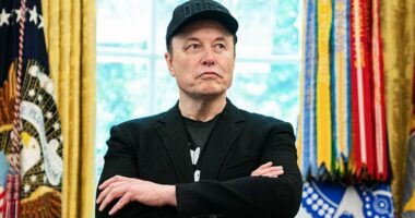 UK prepared to BAN X over its Grok AI being used to create child abuse images despite Elon Musk labelling move 'fascist'