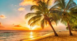 UKHSA alert as holidaymakers return with nasty infection