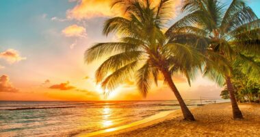 UKHSA alert as holidaymakers return with nasty infection