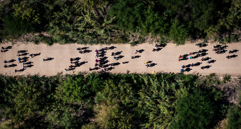 US drug overdose deaths plummet 20% as Trump administration cracks down on southern border