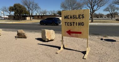 US hits grim measles milestone as world's most infectious disease spreads uncontrollably
