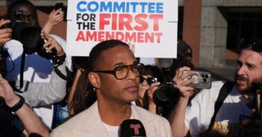 Journalist Don Lemon, talks to the media after a hearing at the Edward R. Roybal Federal Building in Los Angeles.