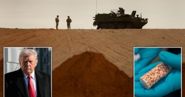 US military advisers embed in Mexico as Trump threatens to deploy special forces