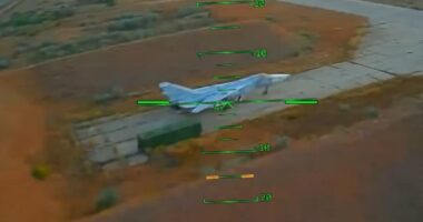 Ukrainian drones wipe out $1billion worth of military aircraft