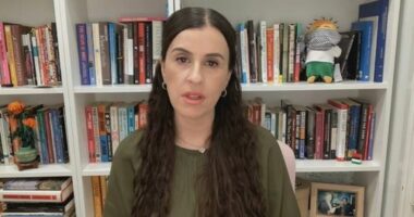 Three members and the chair of the Adelaide Festival Board have resigned ﻿following the continued fallout from the controversial decision to dump Australian-Palestinian author Randa Abdel-Fattah from the renowned writers' week.