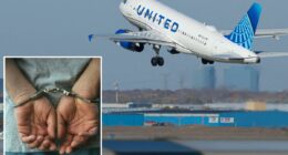 United Airlines passenger in 'simulation' slugs flight attendant in face