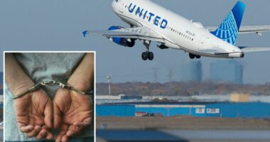 United Airlines passenger in 'simulation' slugs flight attendant in face